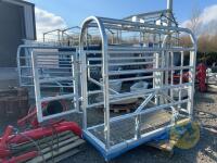 Galvanised Portable cattle crush - 3
