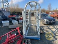Galvanised Portable cattle crush - 4