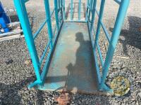 Blue cattle crush - 2