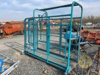 Blue cattle crush - 3