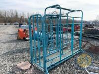 Blue cattle crush - 4