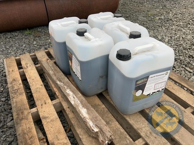 5 Jars of liquid Seaweed 20L jars