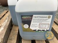 5 Jars of liquid Seaweed 20L jars - 2