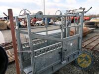 Nugent cattle crush complete with hoof kit