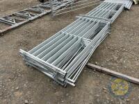 10x 6ft sheep hurdles