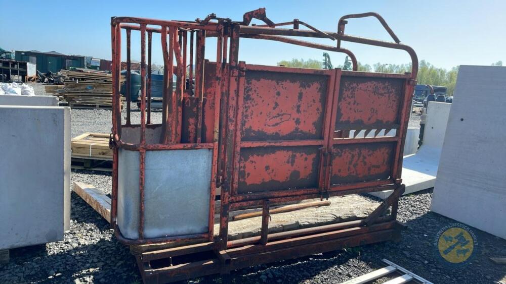 Ritchie cattle crush