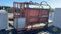 Ritchie cattle crush