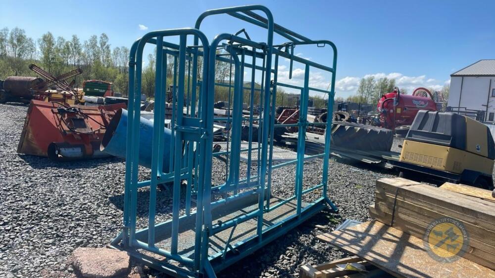 Blue cattle crush