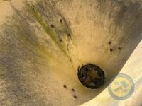 Vicon manure sower - 5