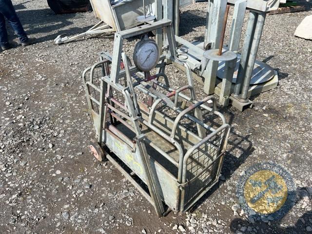 Richard Thompson, Aghadowey Farm Dispersal Sale - Lamb weighcrate