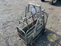 Richard Thompson, Aghadowey Farm Dispersal Sale - Lamb weighcrate - 2