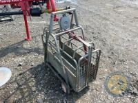 Richard Thompson, Aghadowey Farm Dispersal Sale - Lamb weighcrate - 3
