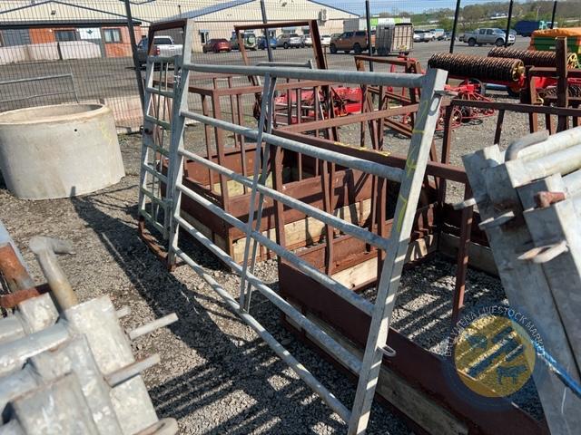 Richard Thompson, Aghadowey Farm Dispersal Sale - Pedestrian hurdle 10ft