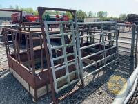 Richard Thompson, Aghadowey Farm Dispersal Sale - Pedestrian hurdle 10ft - 2