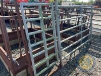 Richard Thompson, Aghadowey Farm Dispersal Sale - Pedestrian hurdle 10ft - 4