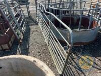 Richard Thompson, Aghadowey Farm Dispersal Sale - 16ft sheep gate