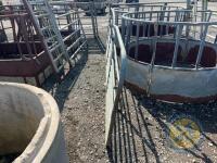 Richard Thompson, Aghadowey Farm Dispersal Sale - 16ft sheep gate - 2