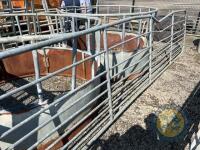 Richard Thompson, Aghadowey Farm Dispersal Sale - 16ft sheep gate - 3