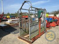 Ritchie cattle crush with weigh scales