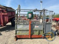 Ritchie cattle crush with weigh scales - 2