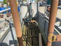 Ritchie cattle crush with weigh scales - 4