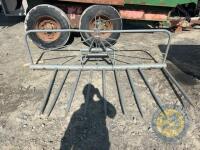 Grey Buckrake - 2