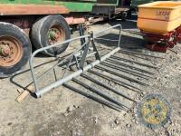 Grey Buckrake - 3