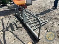 Grey Buckrake - 4