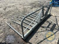Grey Buckrake - 5
