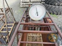 Polden dale sheep weighbridge - 2