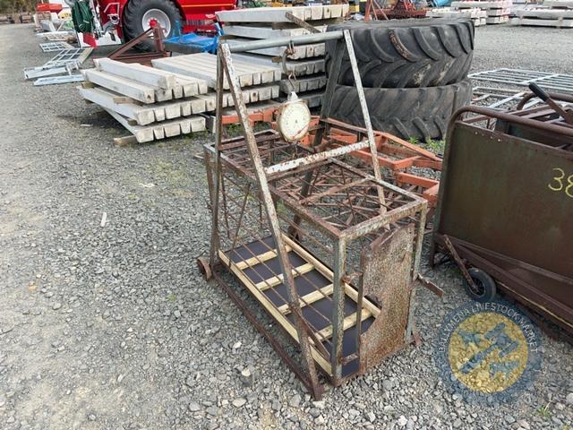 Avery sheep weighbridge