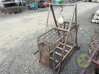 Avery sheep weighbridge - 2