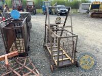 Avery sheep weighbridge - 5