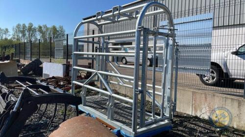 Galvanised portable cattle crush