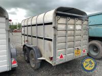 Nugent 12x6 Trailer, dividing gate - 6