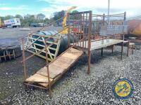 5 Goat milking Cubicle stand complete with ramp - 3