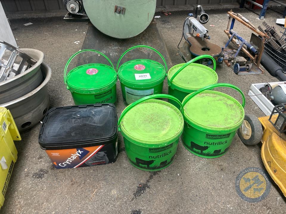 Selection of lick buckets