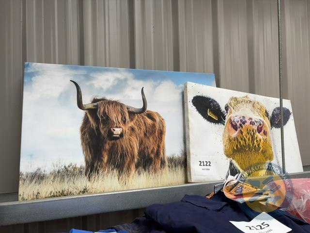 2x cattle on canvas prints