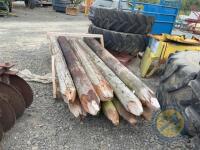 Bundle of strainers - 3