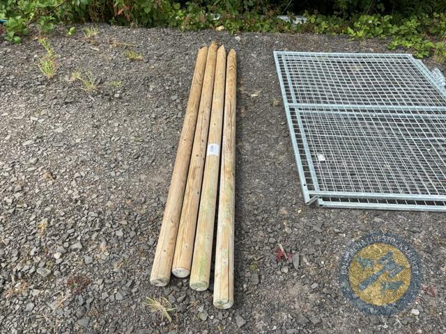 4x 8ft Posts