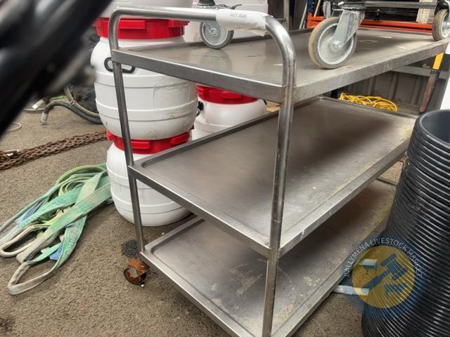 2x stainless steel trolly