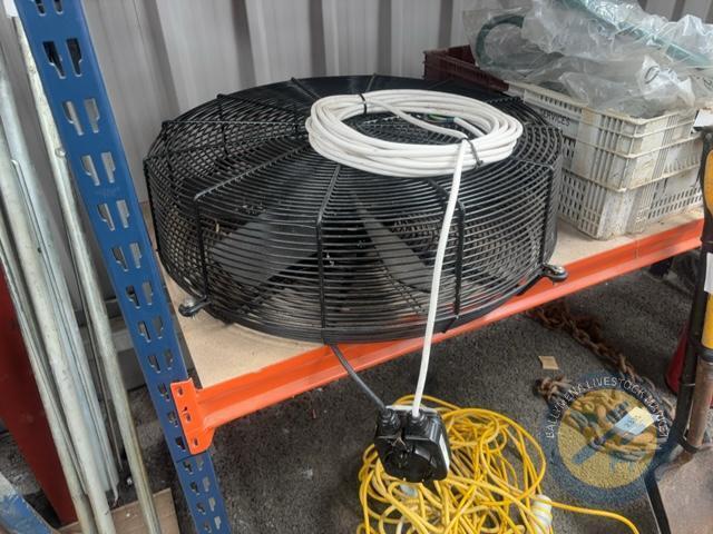 New fan
