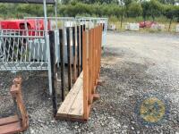 Stick holder for chainsaw - 2