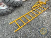 Viewing ladder - 2