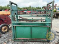 Green cattle crush - 4