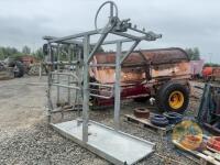 Galvanised Hoof trimming crush - 2
