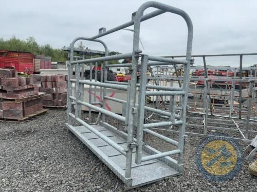 Portable cattle crush
