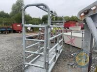 Portable cattle crush - 2