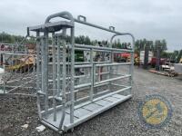 Portable cattle crush - 3