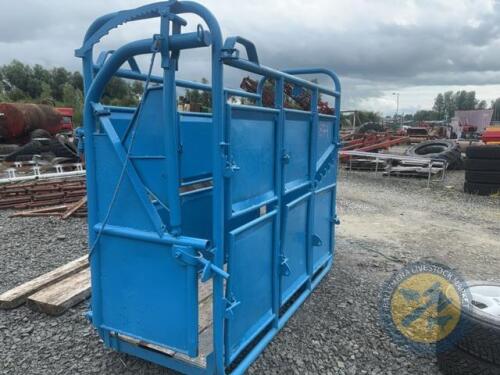 Blue taylor cattle crush